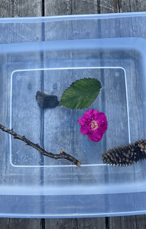 Sink or float experiment 💧🛠 Unlock the secrets of density and buoyancy!