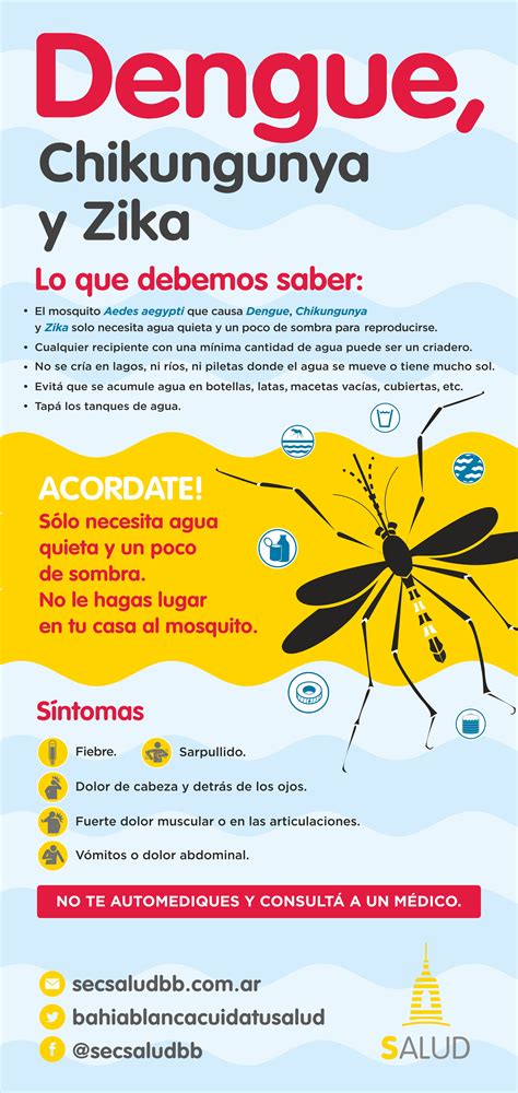 Dengue - Microbiology - Medbullets Step 1