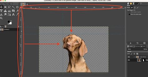 Image result for GIMP Guide