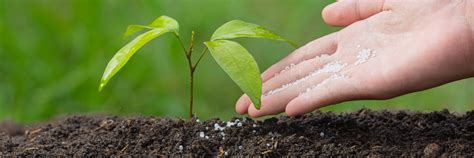 Fertilizer Manufacturer in Dahej, Gujarat | URJA SSP & Micronutrients