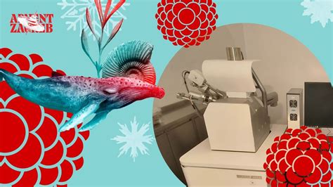 PREDAVANJE: Elektronska mikroskopija u funkciji novog prirodoslovnog ...