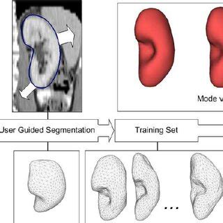 Image result for OpenGL Statistical Shape Model