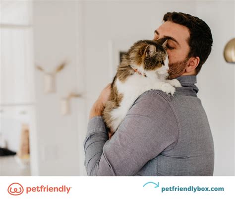 Tapeworm in Cats: What They Are and How to Prevent Them - PetFriendly Box