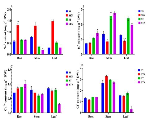 Root and Leaf Anatomy, Ion Accumulation, and Transcriptome Pattern ...