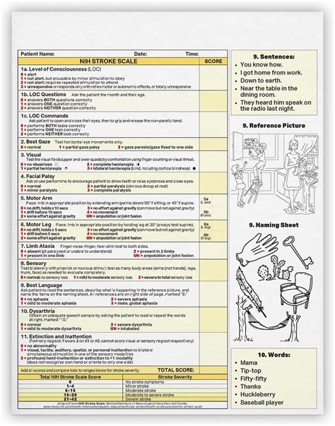 Amazon.com: MDpocket National Institutes of Health Stroke Scale (NIHSS ...