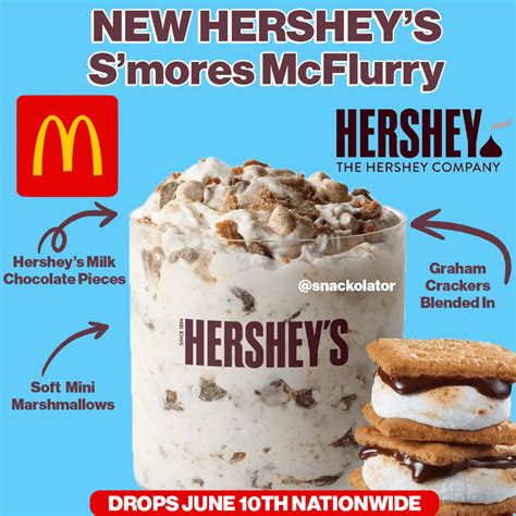 McDonald's Just Launched a New S'mores McFlurry