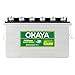 OKAYA PRO Power OPSJT19060 160Ah Advanced Tall Tubular Inverter Battery ...