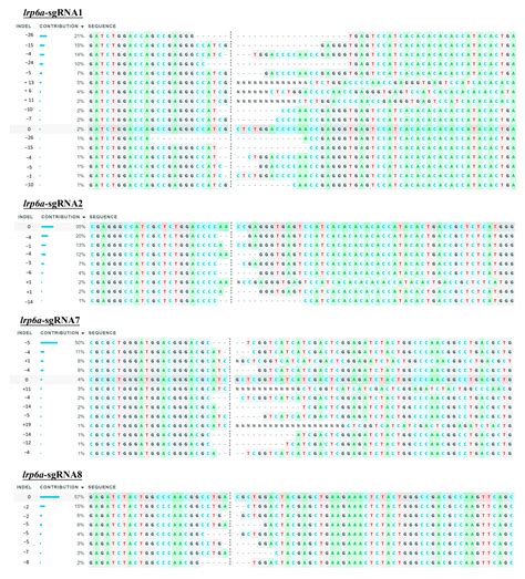 CRISPR/Cas9-Mediated Disruption of lrp6a Leads to Abnormal Median Fin ...