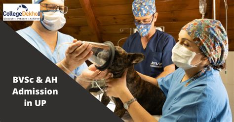 DUVASU UP BVSc & AH Admission 2023: Registration, Important Dates ...