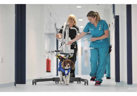 Image result for Paragon Tutorial for Nurses