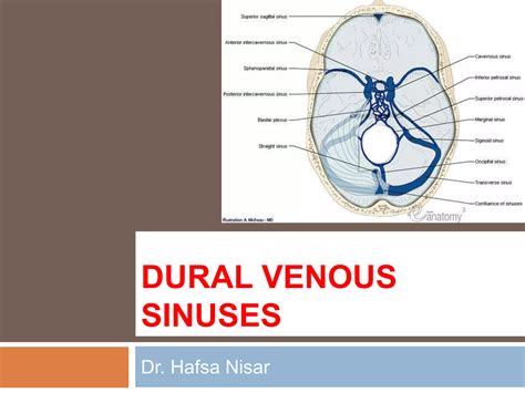 15 dural venous sinuses | PPTX
