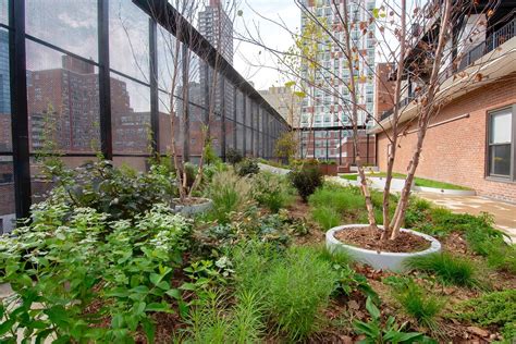 Gracie Square Hospital - Patient Rooftop Garden in Manhattan, New York