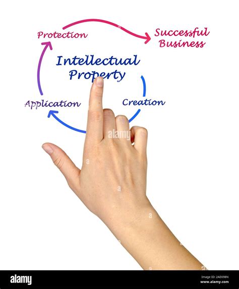 Intellectual Property Flowchart 的图像结果