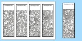 Mindfulness Name Colouring Editable Bookmarks (teacher made)