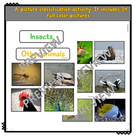 First Grade Science 的图像结果