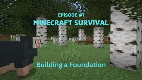 Image result for Minecraft Survival EP 1Pythonmc