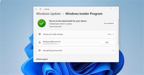 Windows Insider Windows 11 的图像结果