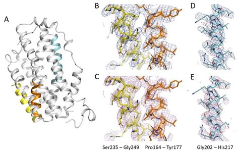Image result for Electrostatic Potential Map