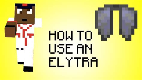 Image result for How to Use the Elytra Java Easy Way