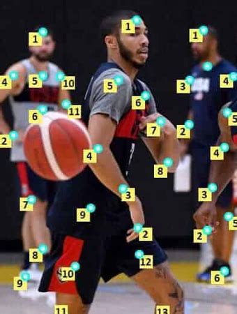 Image Annotation | Axximum