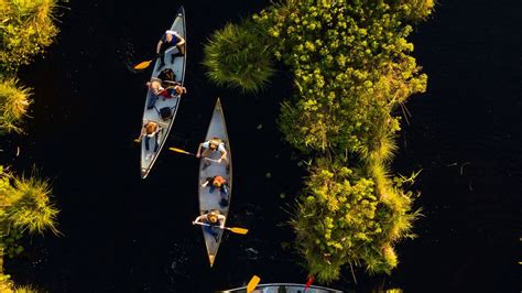 Wallpaper kayaks, boats, river, aerial view hd, picture, image