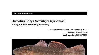 Ecological Risk Screening Summary - Shimofuri Goby (Tridentiger ...