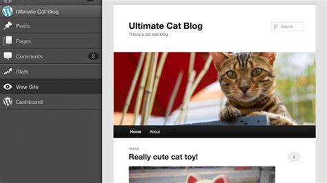 Image result for WordPress iOS