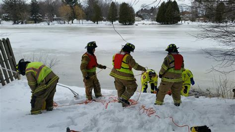 Dog dies after fire crews attempt water rescue