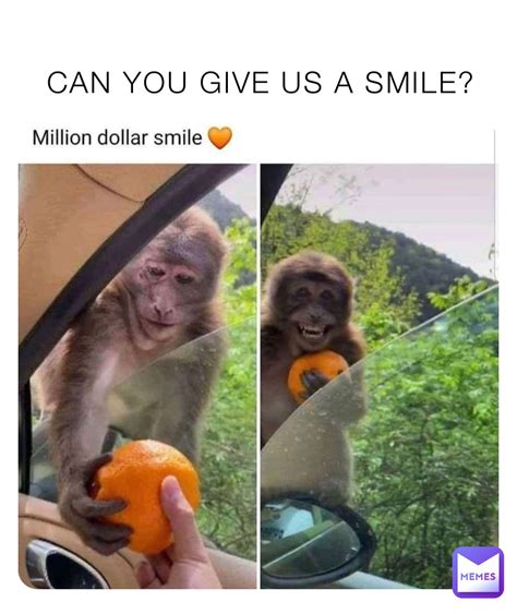 Monkey Smiling Meme