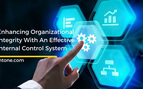 Internal Control System 的图像结果