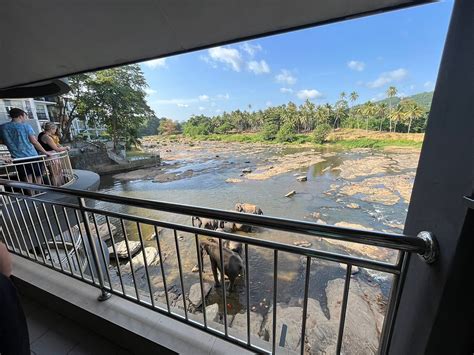 HOTEL PINNALANDA (Rambukkana) - Inn Reviews, Photos, Rate Comparison ...