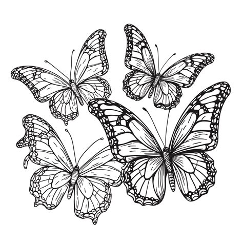 Outline Images Of Butterflies