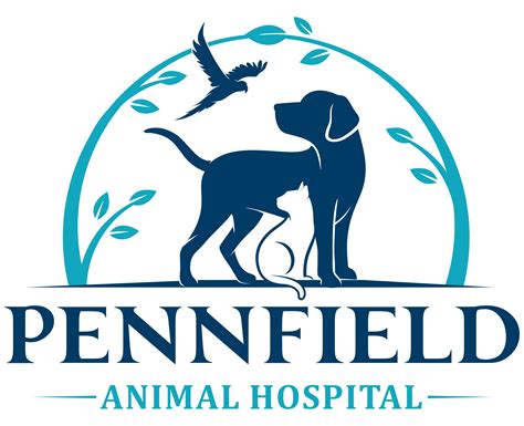 Veterinary Radiology Department 49017 - Pennfield Animal Hospital