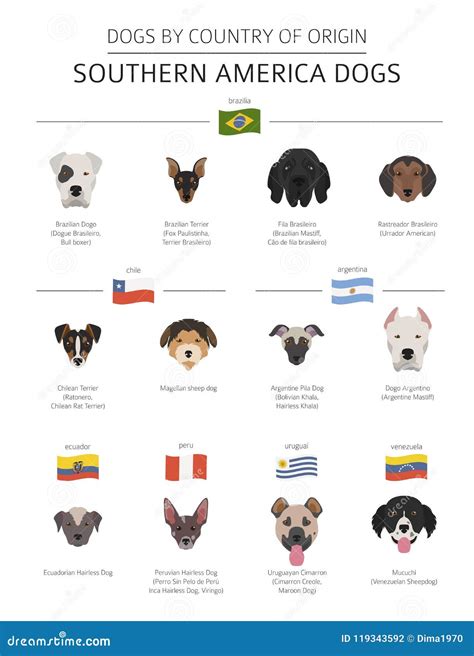 Dogs by Country of Origin. Latin American Dog Breeds Stock Vector ...