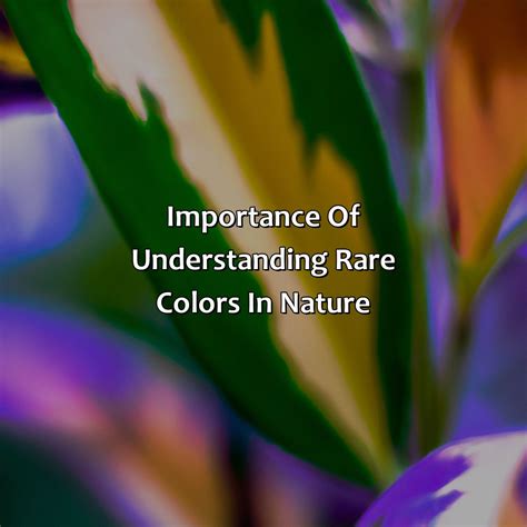 What Is The Rarest Color In Nature - colorscombo.com