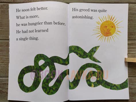 Image result for The Greedy Python