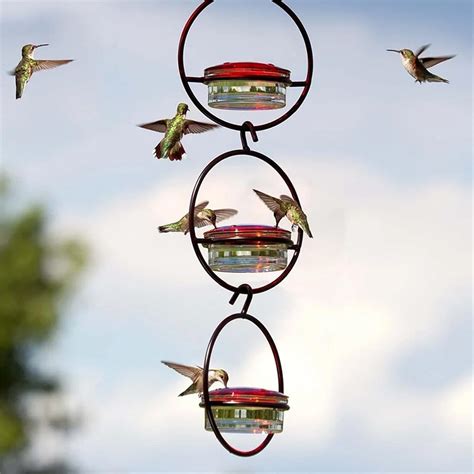 Glass Hummingbird Feeders, Hummingbird Feeders for Outdoors Hanging ...