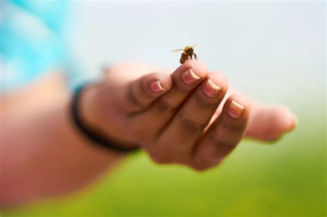 Monika Shukla Is Building A Women-Led Ecological Revolution Through ...