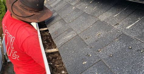 Image result for Gutter Maintenance Tips