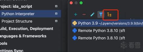 Image result for IDAPython