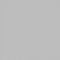 510 Grey Full Body Tile | 510 Grey Full Body Tile