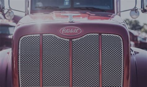 Image result for Dynamic Transit