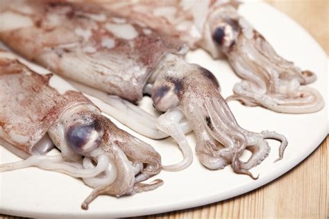 Difference Between Squid And Calamari