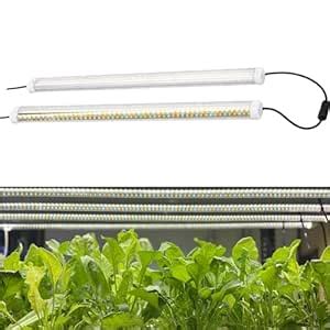 City Greens 20W Full Spectrum (Pack of 2) Led Grow Lights for Indoor ...