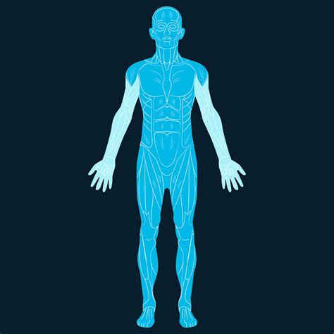 WHOLE BODY SCAN – LifeAmore