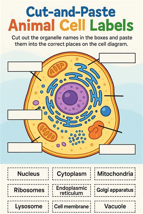 Label the Animal Cell Worksheets - Free Image & PDF Printables