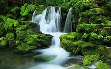 Beautiful Outdoor Wallpaper by Beautiful Outdoors Wallpaper 2560x1440 26870 Beautiful Outdoor Wallpaper