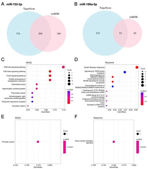 MicroRNA-152-3p and MicroRNA-196a-5p Are Downregulated When Müller ...
