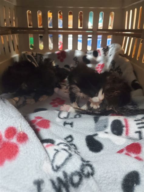 HIS HANDS EXTENDED SANCTUARY - Saint Paris OH - Hours, Directions ...