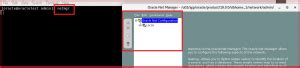 Image result for Oracle Net Manager Problem